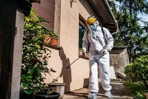 Best Insect Control  in Crosby, MN