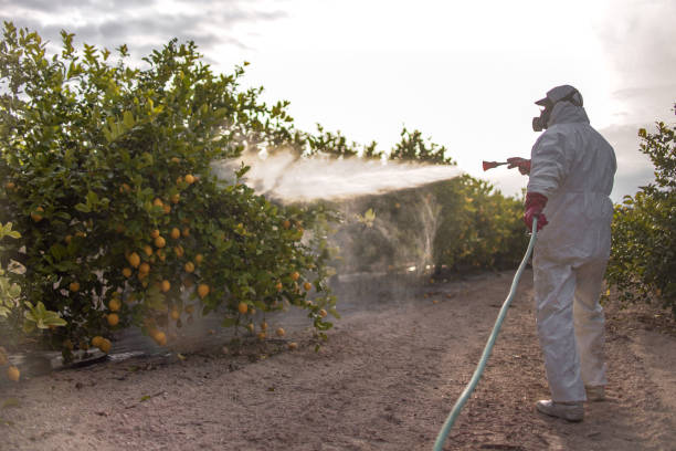 Best Best Pest Control Companies  in Crosby, MN