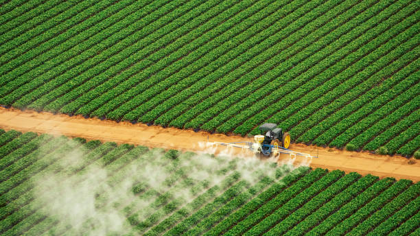 Best Commercial Pest Control Services  in Crosby, MN