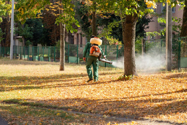 Best Affordable Pest Control Services  in Crosby, MN