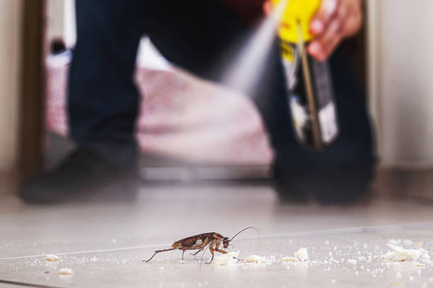 Best Local Pest Control Services  in Crosby, MN