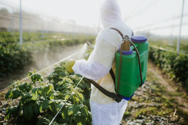 Best Pest Removal Services  in Crosby, MN